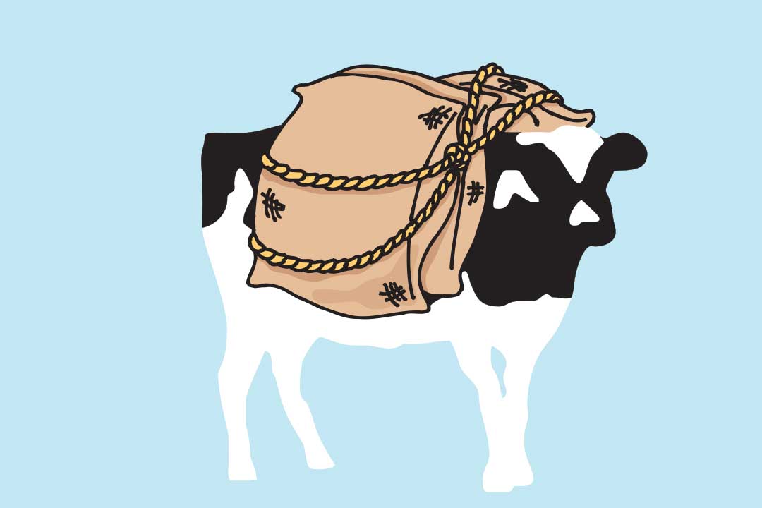 Woodie mit Säcken auf dem Rücken