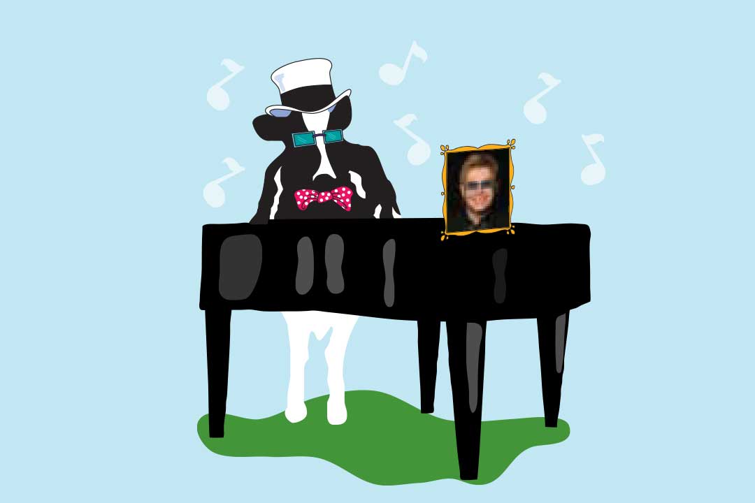 Woodie die Kuh mit einem Klavier und einem Bild von Elton John